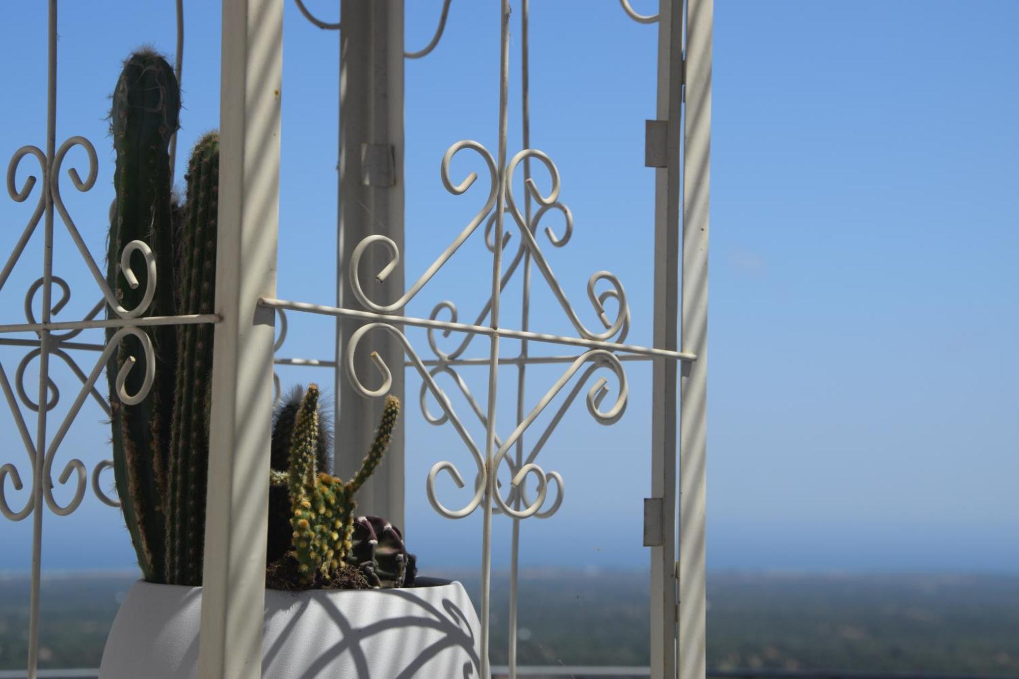Il Principe Viendalmare Acomodação com café da manhã Ostuni Exterior foto